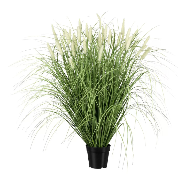 Flourify Pennisetum (Lampepoetsersgras)