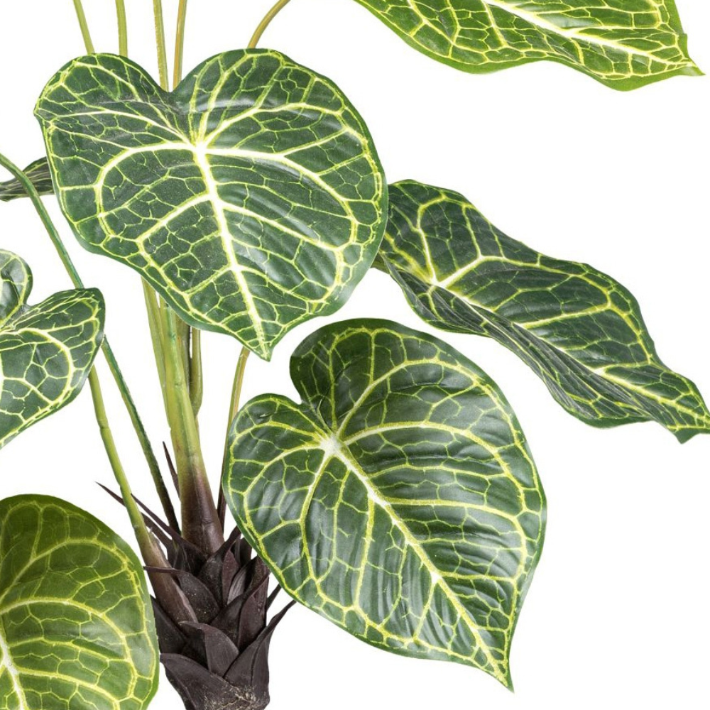 Syngonium Kunstpflanze 70 cm
