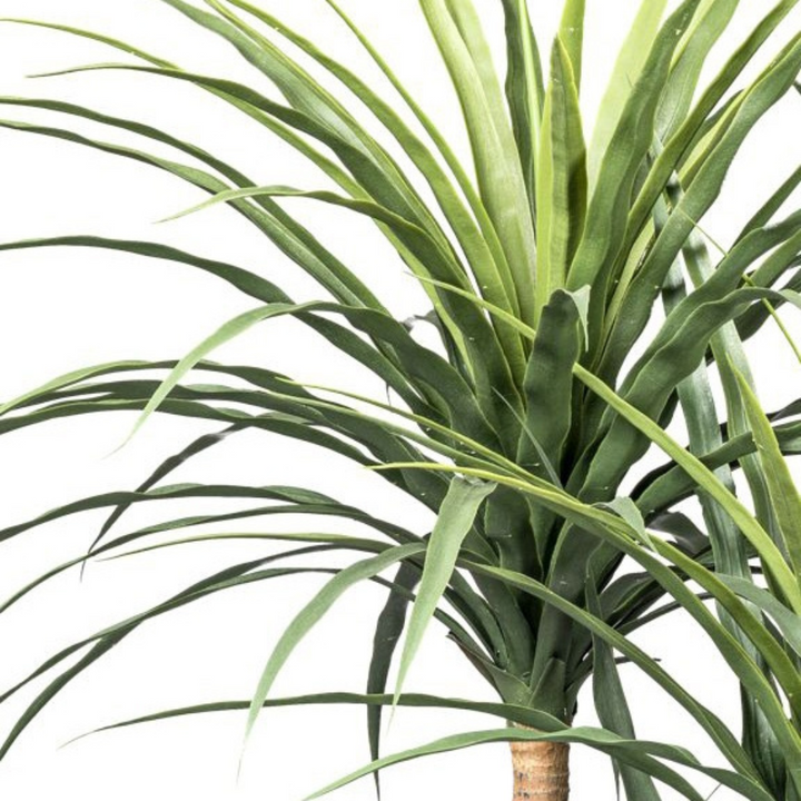 Kunstpflanze Dracaena 160 cm