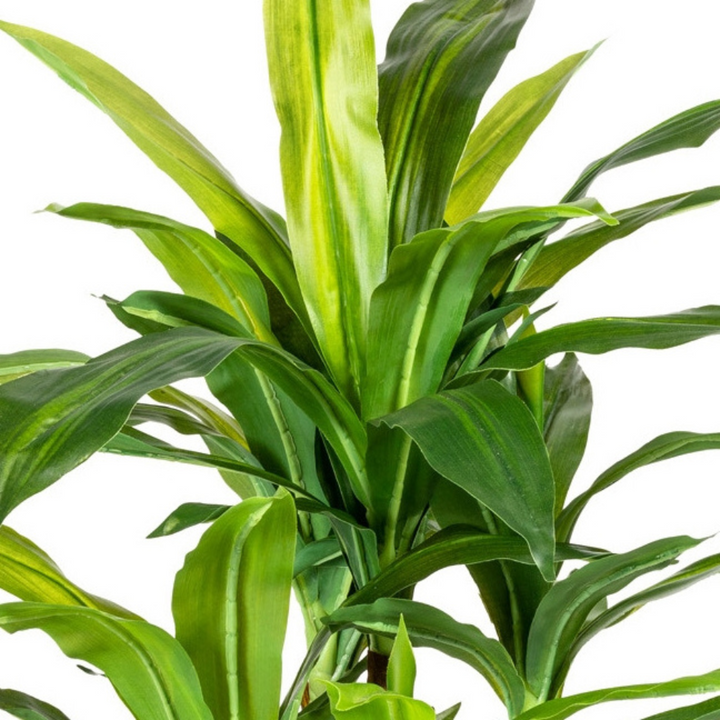Kunstpflanze Dracaena 80 cm