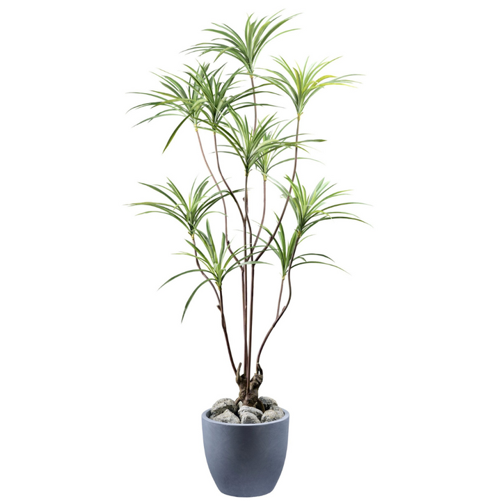 Kunstpflanze Dracaena 180 cm