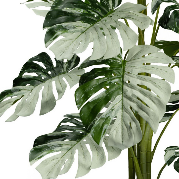 Monstera Variegata Halfmoon Kunstpflanze 115 cm
