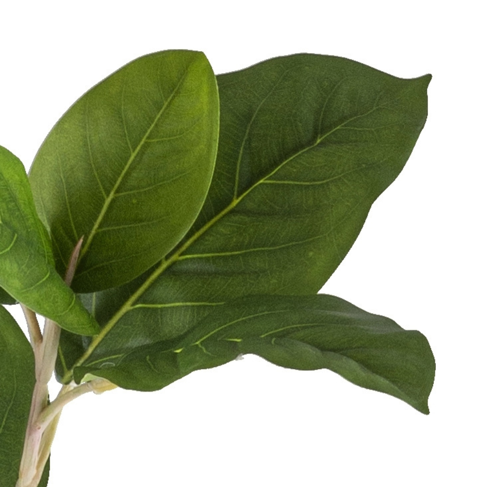 Ficus Moclame Kunstpflanze 115 cm