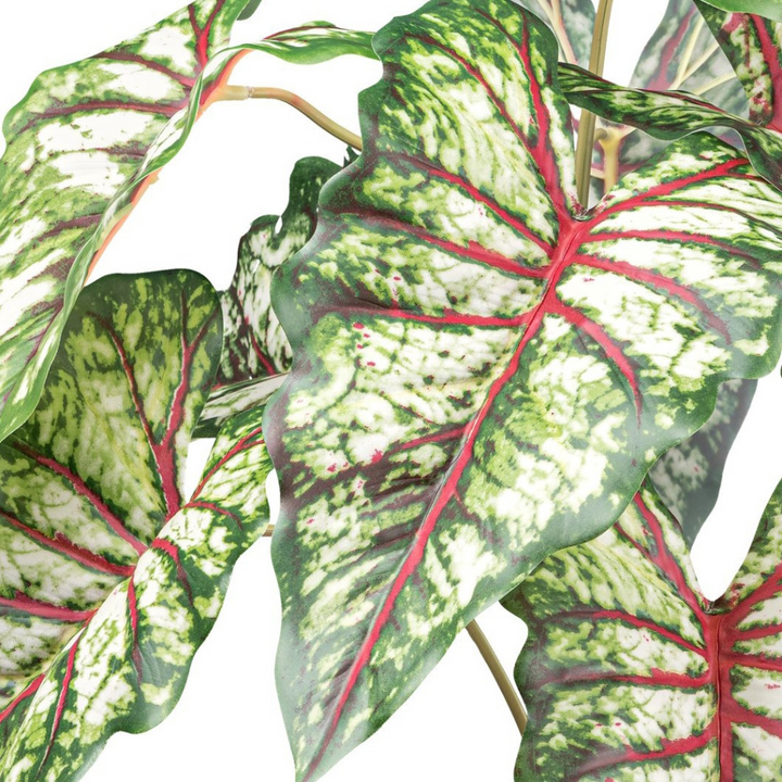 Syngonium Kunstpflanze 66 cm