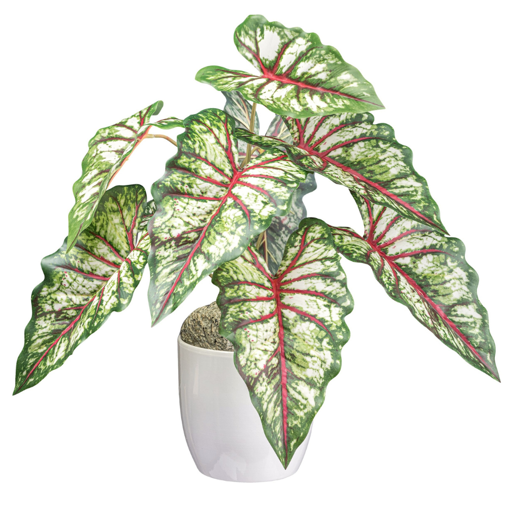 Syngonium Kunstpflanze 66 cm