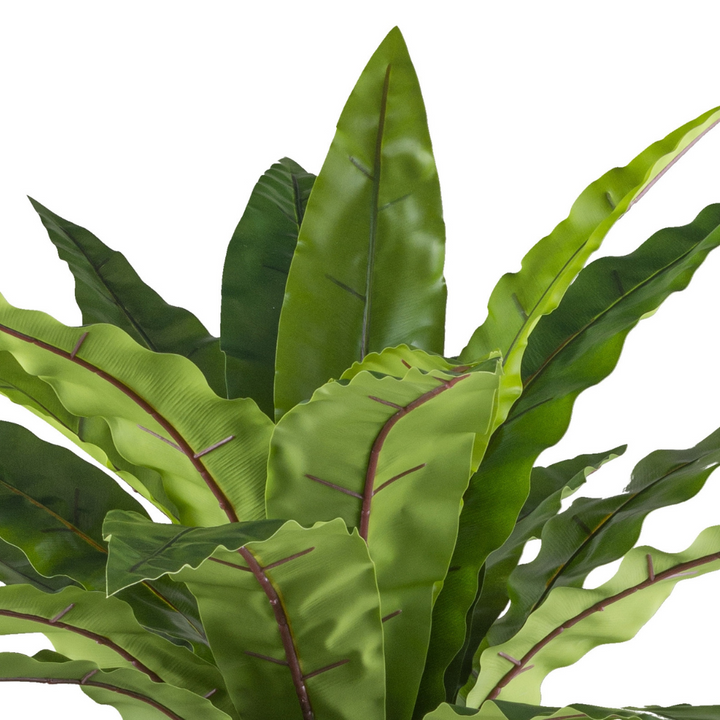 Kunstpflanze Asplenium 105 cm