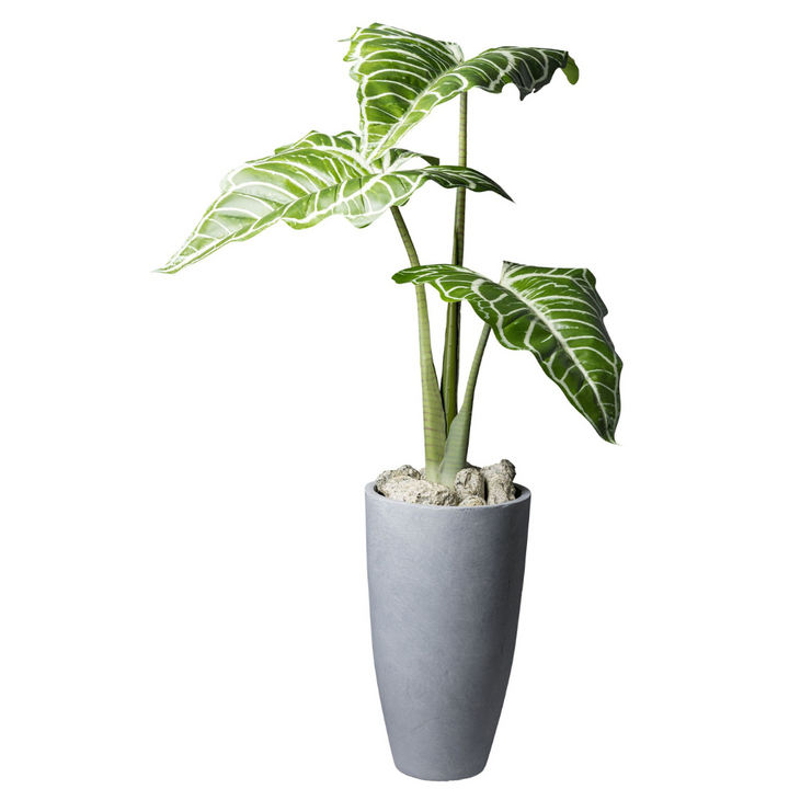 Colocasia White Lava Kunstpflanze 130 cm