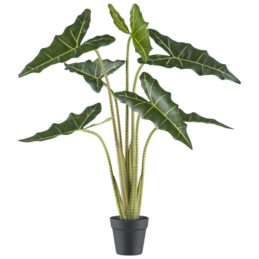 Alocasia zebrina Sarian Kunstpflanze 100 cm