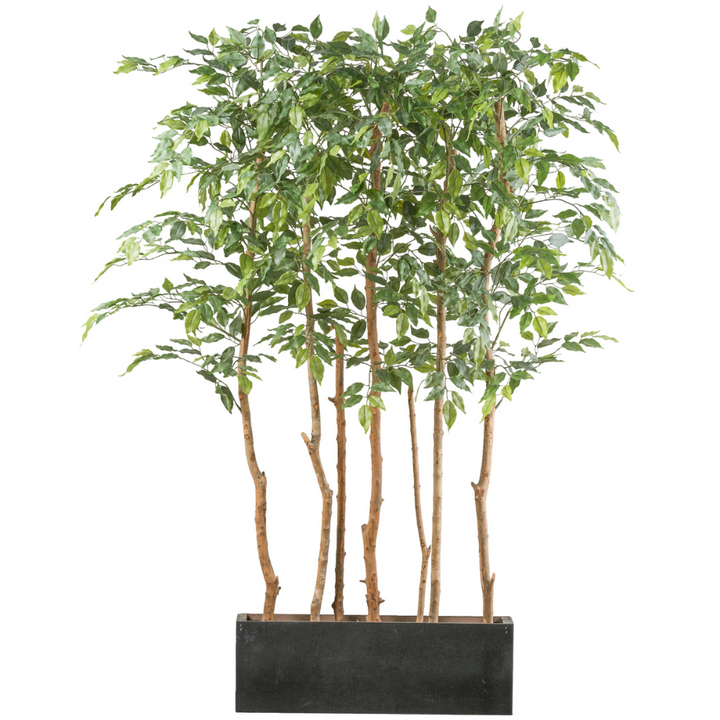 Ficus Benjamina Raumteiler Kunstpflanze 160 cm