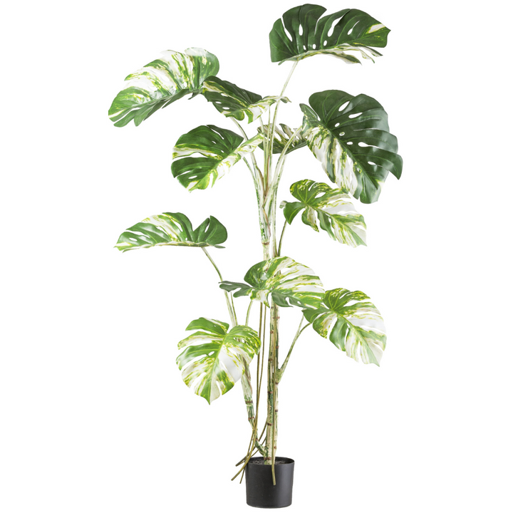 Monstera deliciosa variegata Kunstpflanze 160 cm