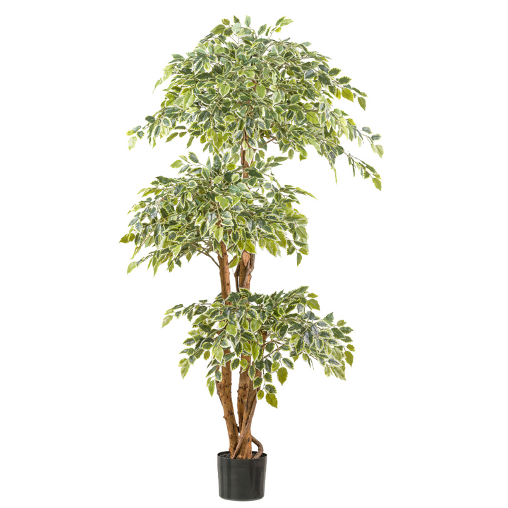 Ficus Benjamina Kunstpflanze 165 cm