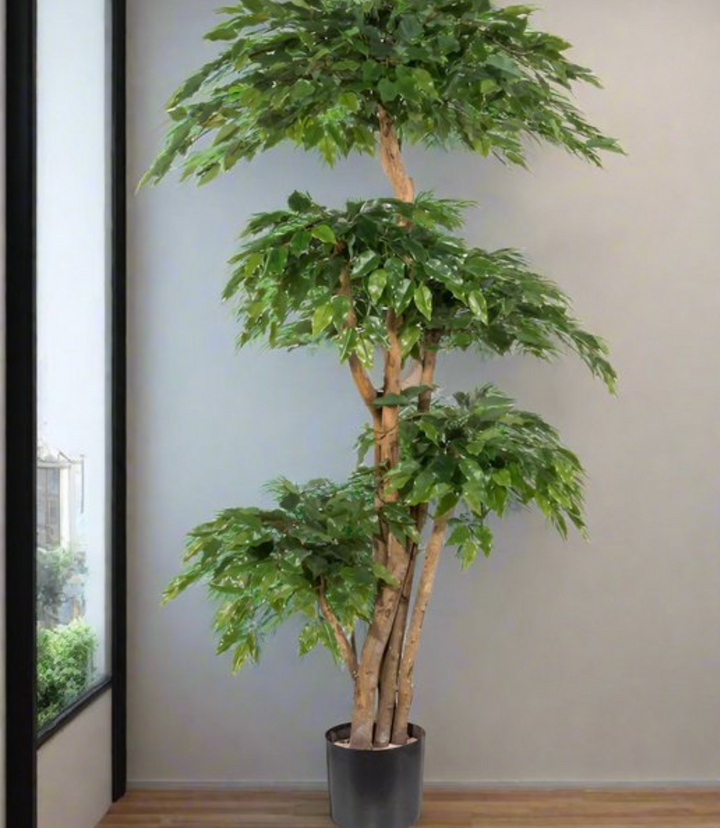 Ficus Benja Kunstpflanze 170 cm