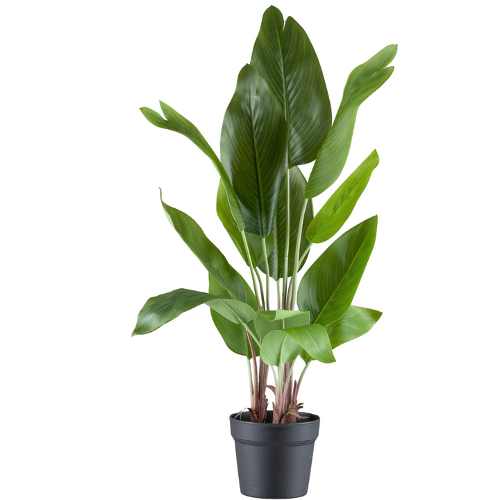 Strelitzia nicolai Kunstpflanze 70 cm