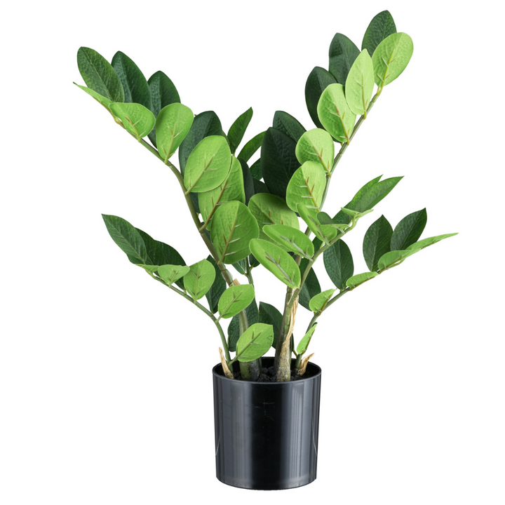 Kunstpflanze Zamioculcas 45 cm