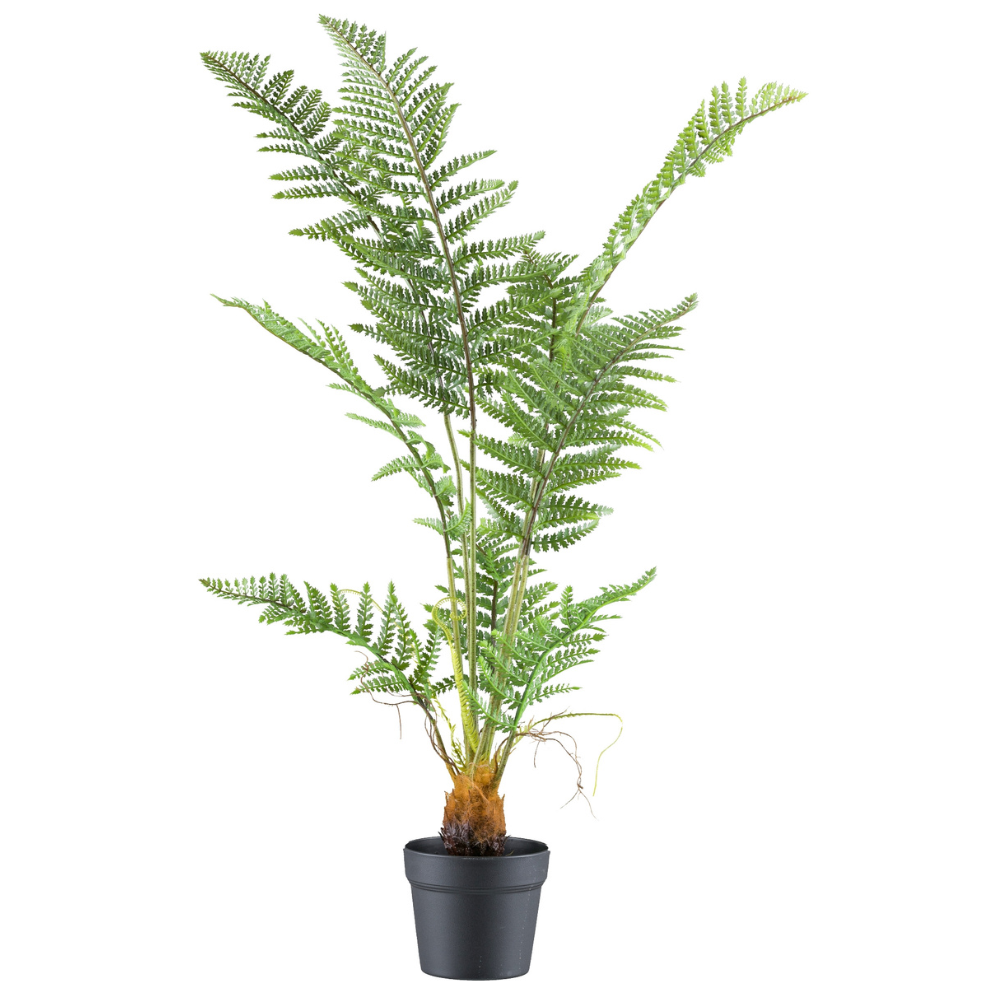 Pteris tremula Farn Kunstpflanze 100 cm