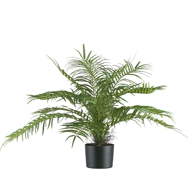 Areca Palmenwald Kunstpflanze 70 cm