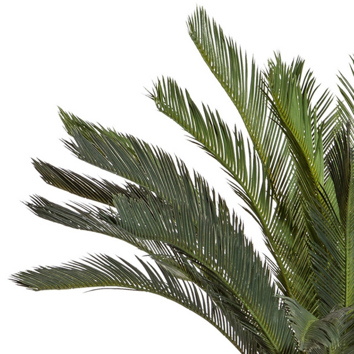 Cyclas Palme Kunstpflanze 130 cm