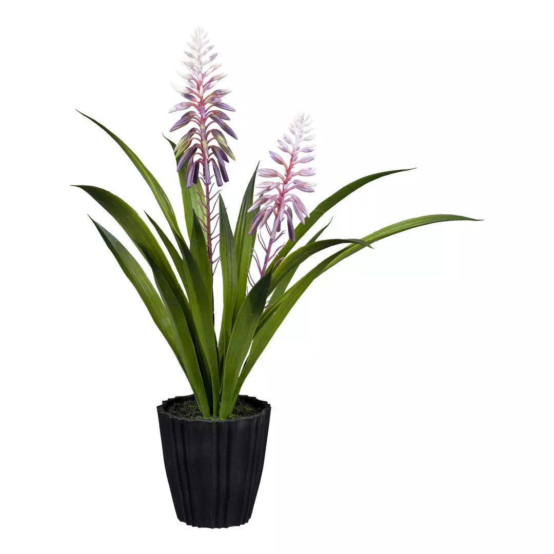 Flourify Fakkellelie