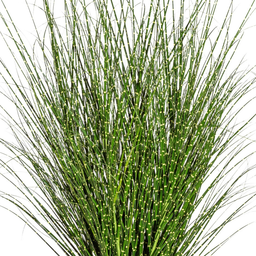Miscanthus Zebrinus Kunstpflanze 140 cm
