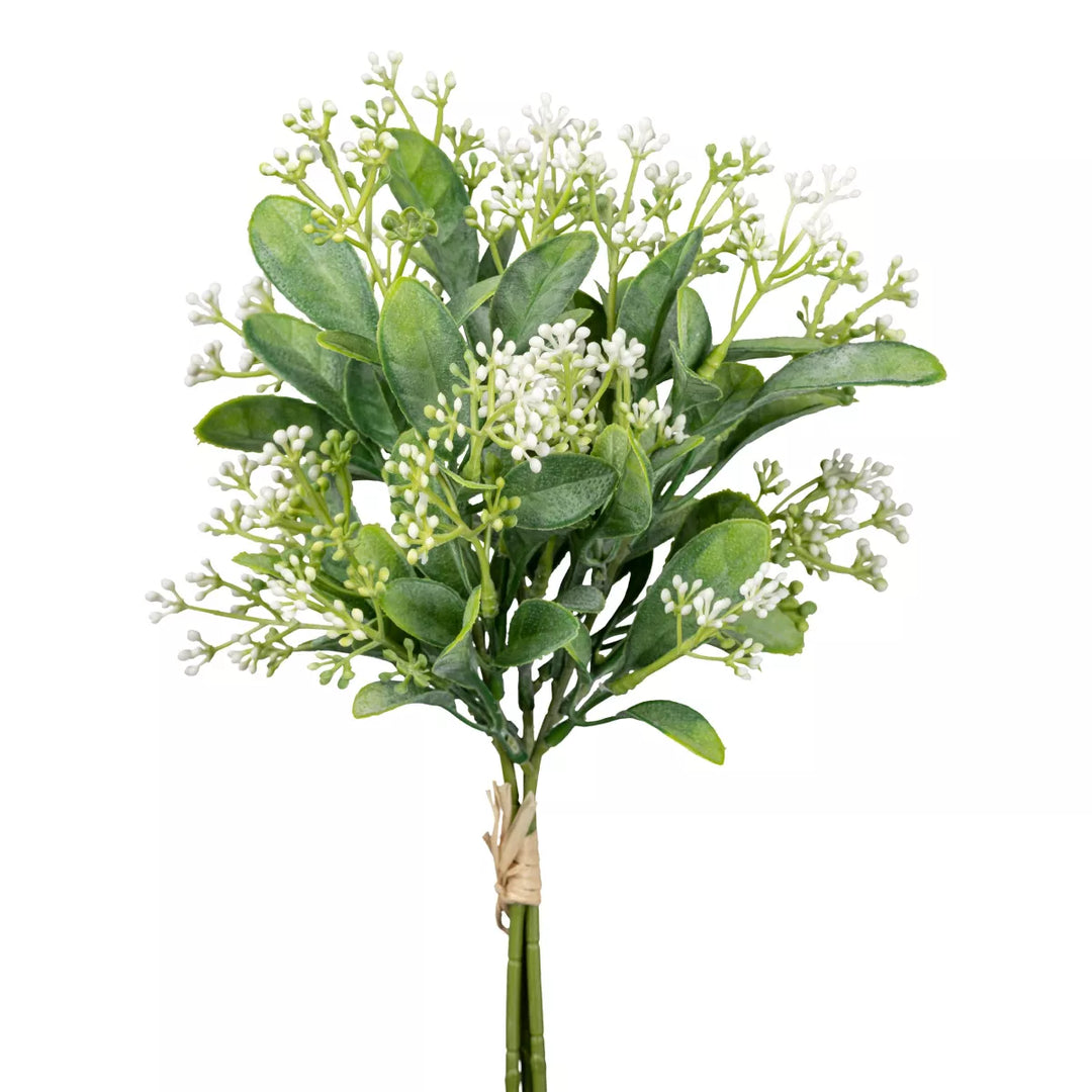 Flourify Murraya paniculata (oranje jasmijn) 